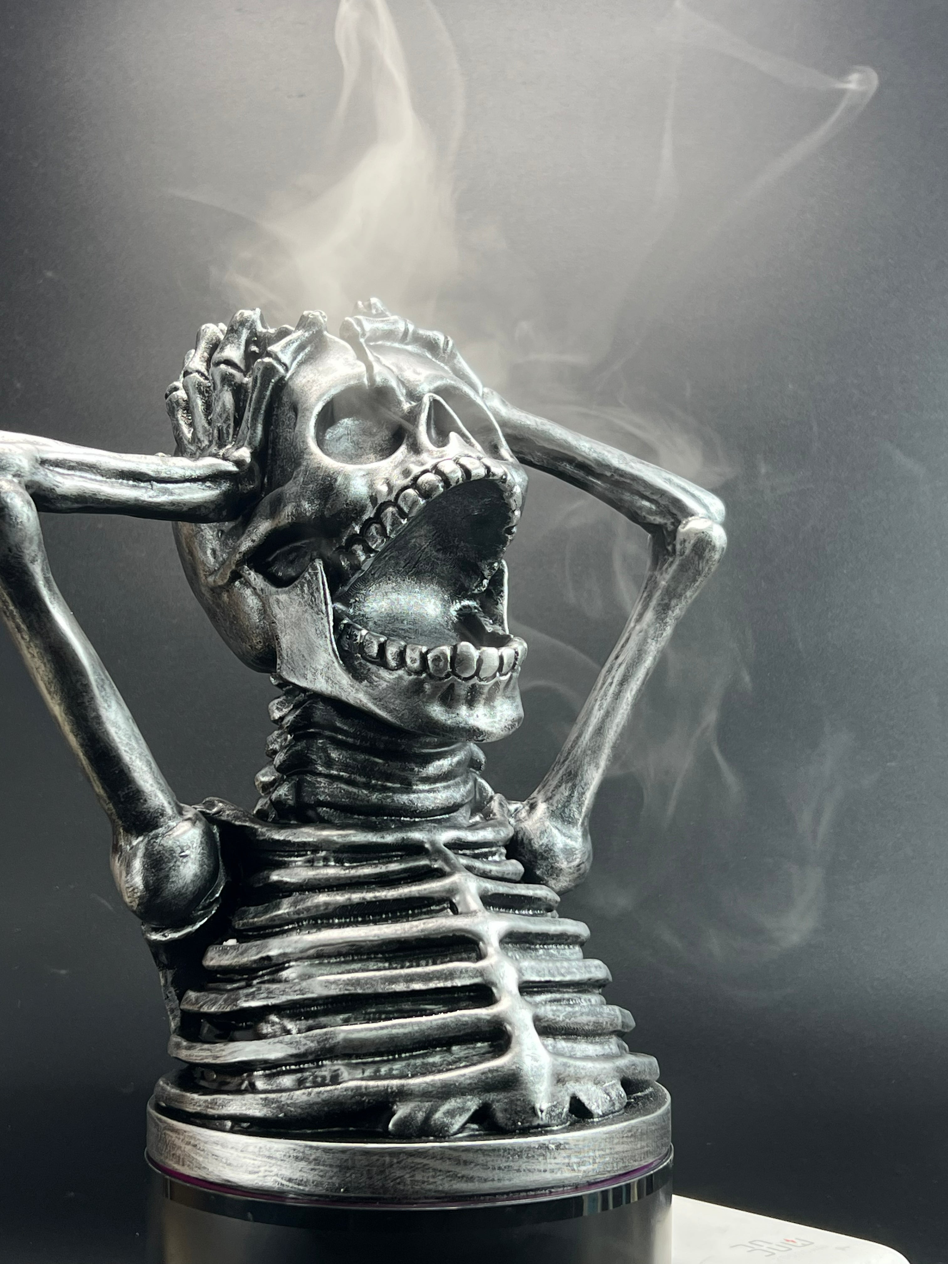 Loviss Nocturne Skull Diffuser | Lunar Silver